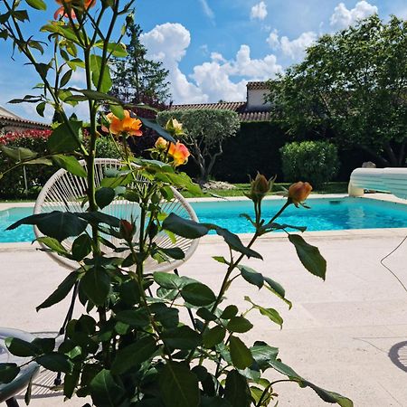 Petit Gite De Provence Mazan Kültér fotó