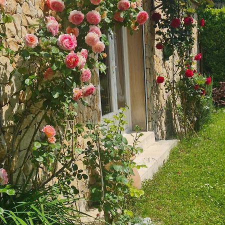 Petit Gite De Provence Mazan Kültér fotó