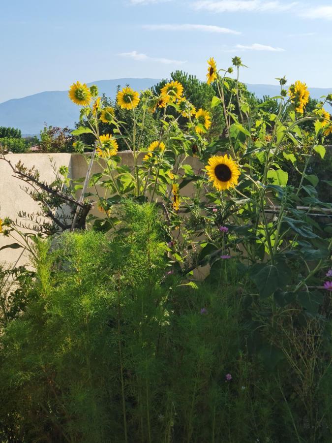 Petit Gite De Provence Mazan Kültér fotó