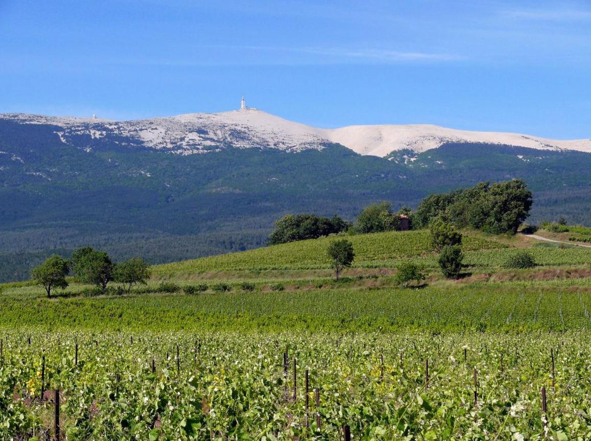 Petit Gite De Provence Mazan Kültér fotó